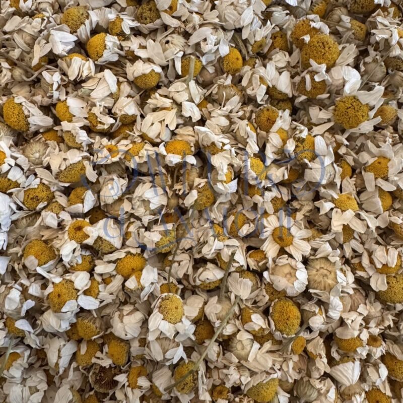 Fleurs de camomille séchées pour infusion détente