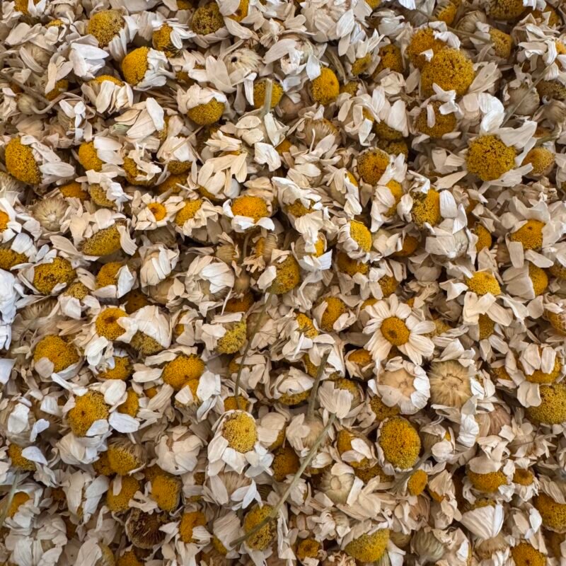 Fleurs de camomille séchées - infusion apaisante pour le soir