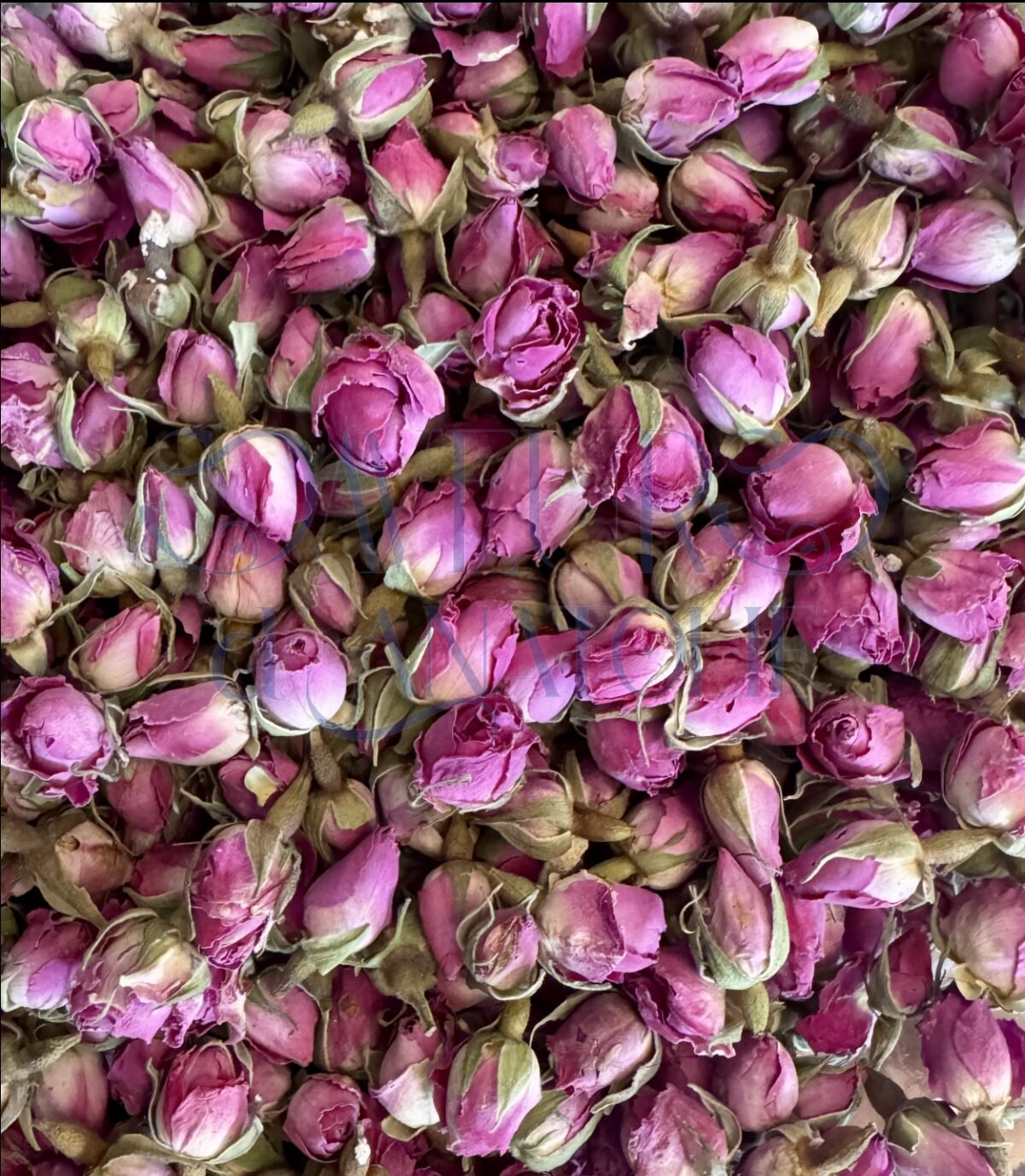 Boutons de rose séchés pour infusion relaxante