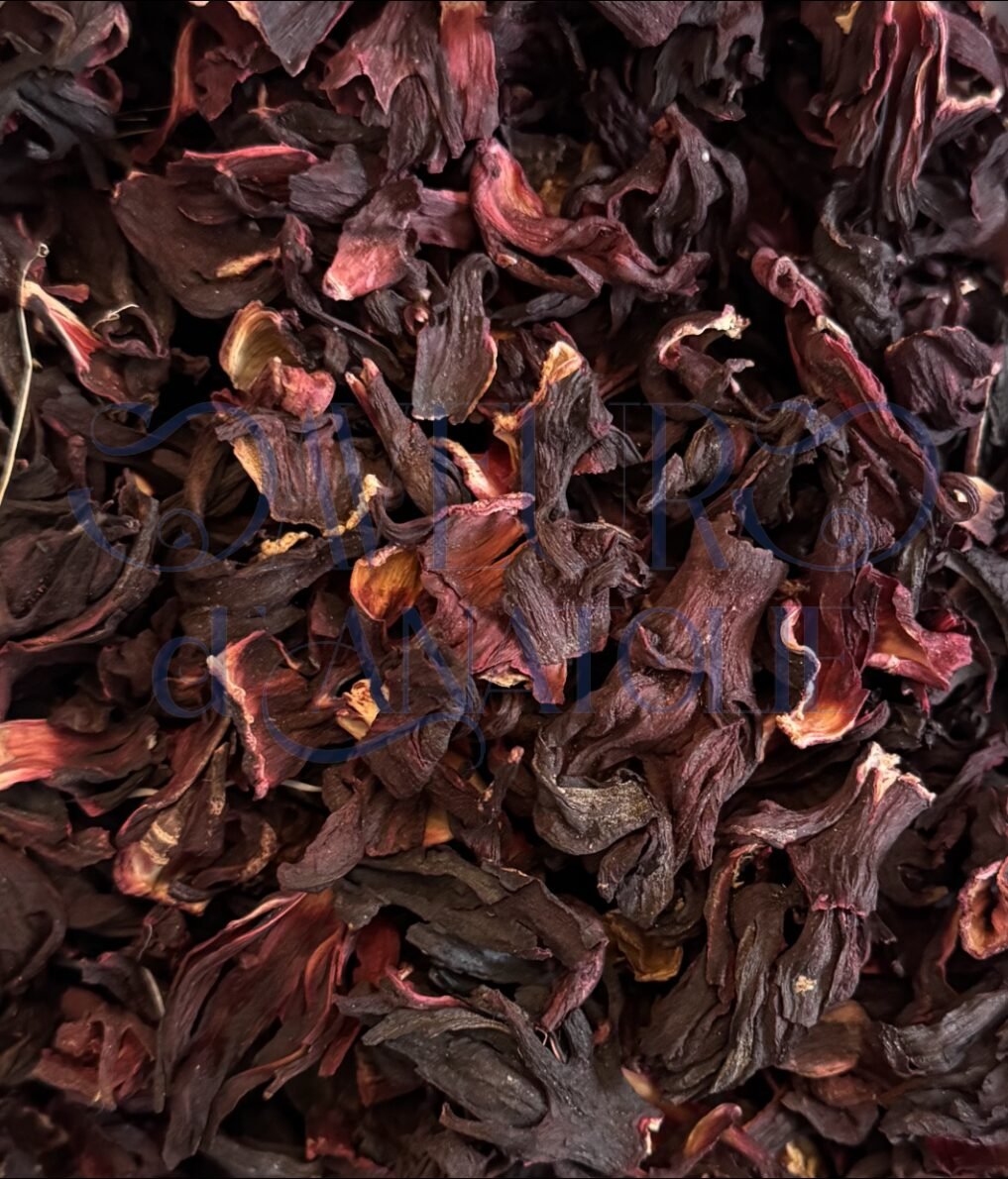 Fleurs d'hibiscus séchées pour infusion rafraîchissante