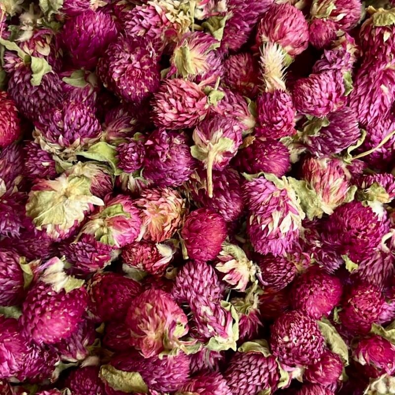 Fleurs de trèfle séchées - infusion naturelle purifiante et équilibrante